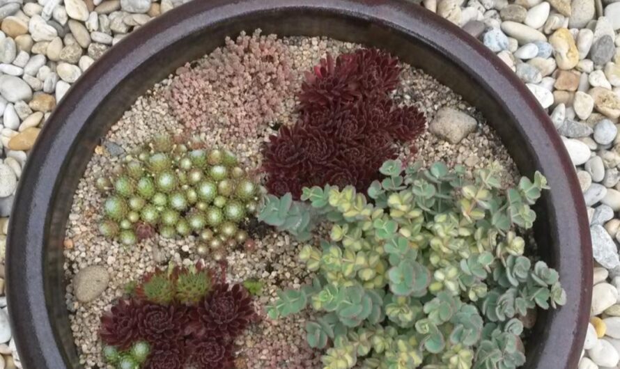 OGV – Informationen / November 2025