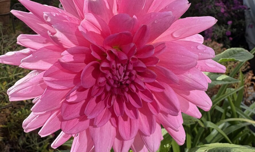 OGV-Informationen für Februar 2026